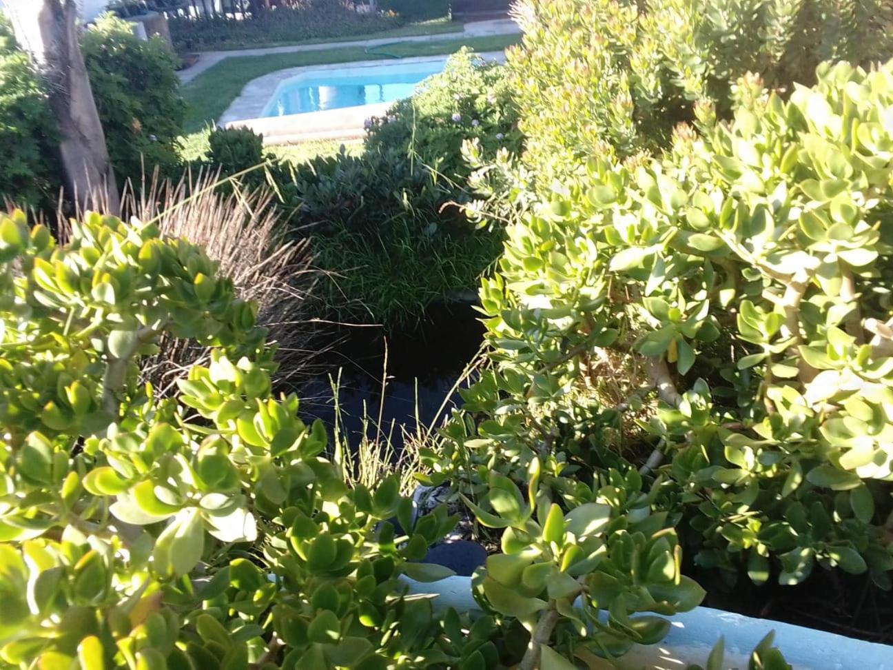 Coco De Mer Self Catering Log 1 Lambertʼs Bay 外观 照片